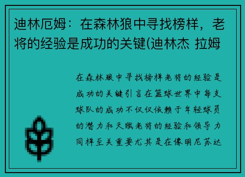 迪林厄姆：在森林狼中寻找榜样，老将的经验是成功的关键(迪林杰 拉姆)