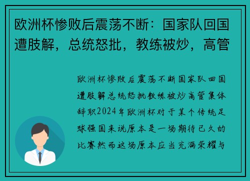 欧洲杯惨败后震荡不断：国家队回国遭肢解，总统怒批，教练被炒，高管集体辞职